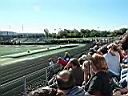 DSCF0023.JPG